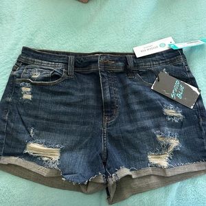 studio blue kadence mid rise cuffed short